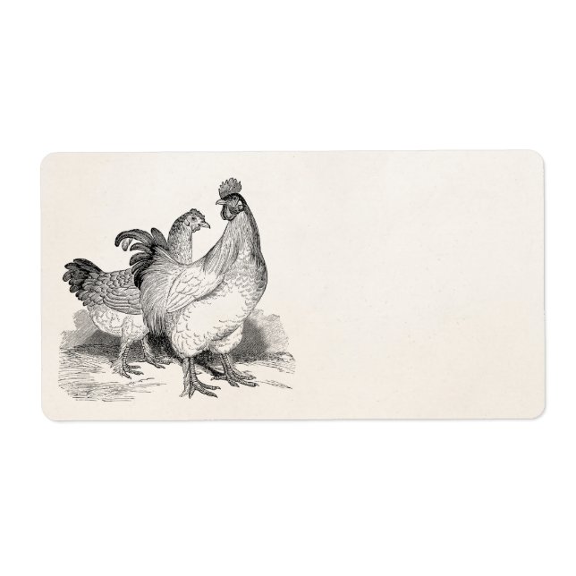 Vintage Personalisierte Hühnerroster Cochin-Vögel (Vorne)