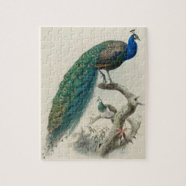 Vintage Pfau (Vertikal)