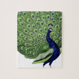 Vintage Pfau