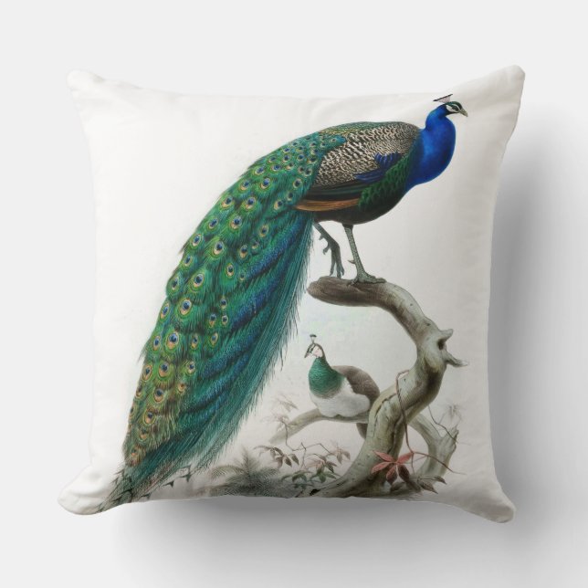 Vintage Pfau-Illustration Kissen (Vorderseite)