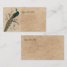 Vintage-Pfau-Naturhistoriedruck