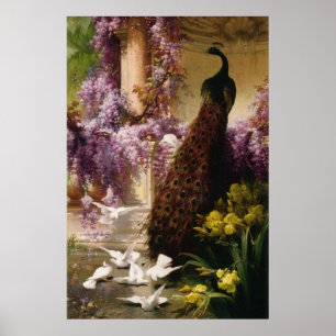 Vintage Pfau Poster