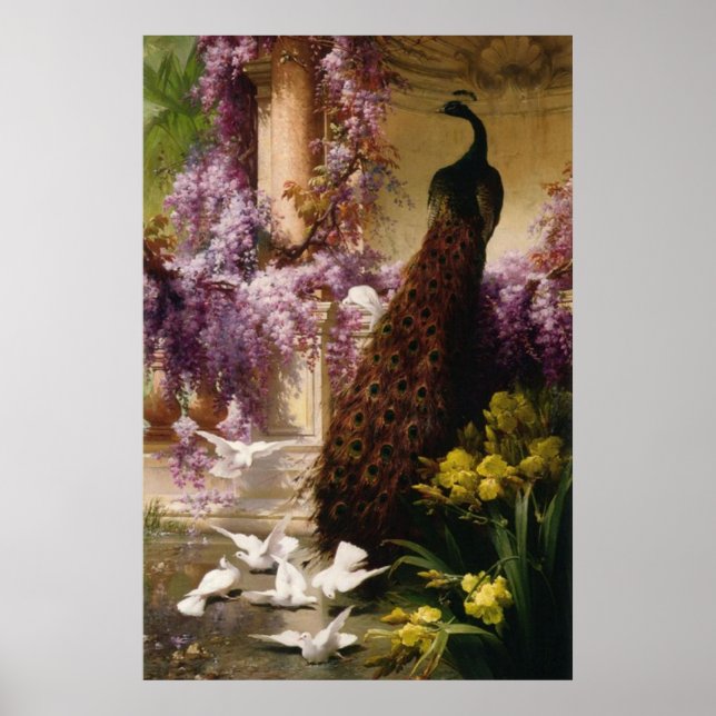 Vintage Pfau Poster (Vorne)