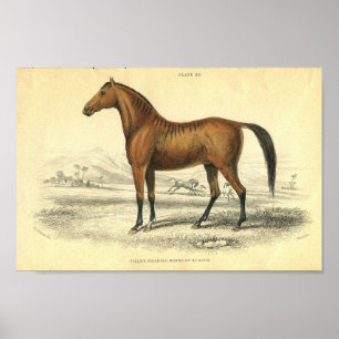 Vintage Pferdedruckfolie Poster