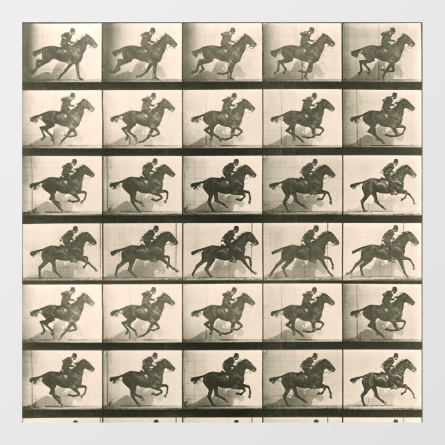Vintage Pferdefotografie Fensteraufkleber (Blatt)