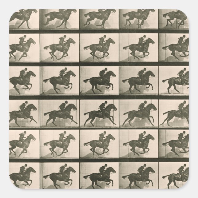 Vintage Pferdefotografie Quadratischer Aufkleber (Vorderseite)