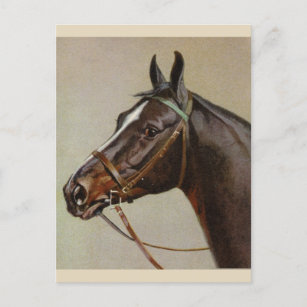 Vintage Pferdepostkarte Feiertagspostkarte