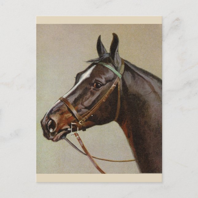 Vintage Pferdepostkarte Feiertagspostkarte (Vorderseite)