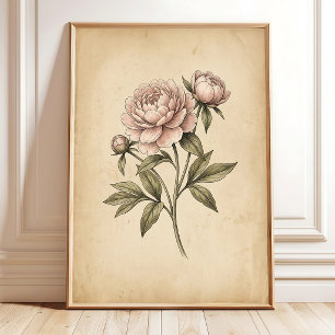 Vintage-Pfingstrosen-Blumenwandkunst - Bohemian-Ho Poster
