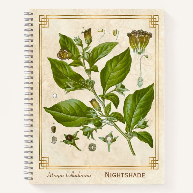 Vintage Pflanze Nightshade Belladonna Herb Notizbuch (Vorderseite)