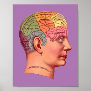 Vintage Phrenologie Kopf Geist Gehirn Karte Poster