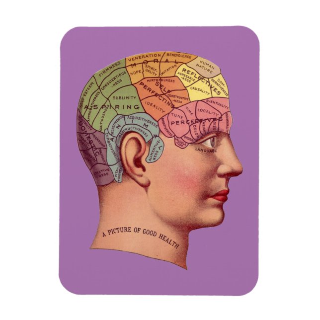 Vintage Phrenologie Kopf Minenkarte Magnet (Vertikal)