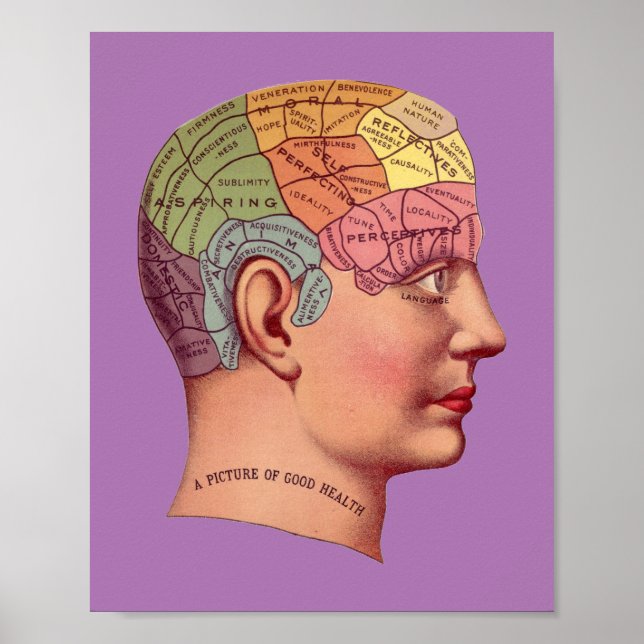 Vintage Phrenologie Kopf Minenkarte Poster (Vorne)