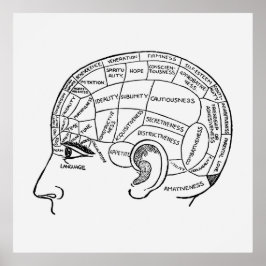 Vintage Phrenologie Neurologie illustriert Poster