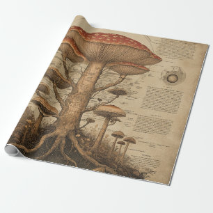 Vintage Pilz-Botanik-Chart (9) Geschenkpapier
