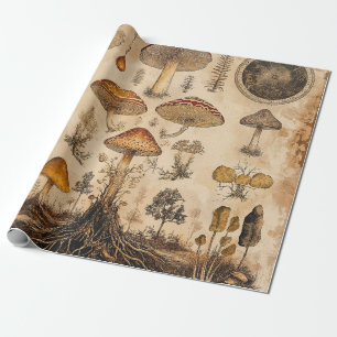 Vintage Pilz-Botanikkarte (6) Geschenkpapier