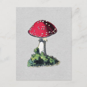 Vintage-Pilzdruck Postkarte