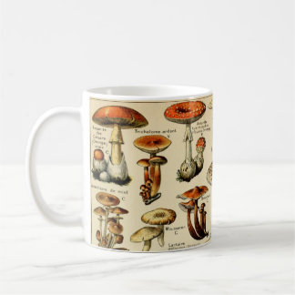 Vintage Pilze & Pilze #3 Coffee Tasse