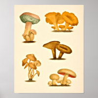 Vintage Pilze Sorten Art Drucken Rot Grün