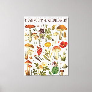 Vintage-Pilze und Wildblumen Chart Leinwanddruck