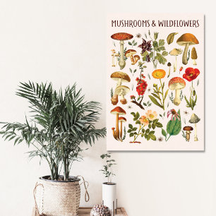 Vintage-Pilze und Wildblumen Chart Leinwanddruck