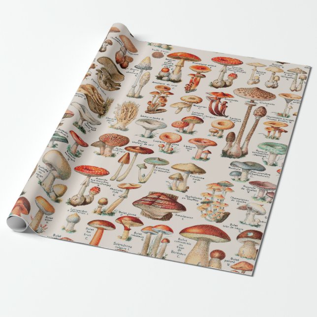 Vintage Pilzfungus-Illustration I Geschenkpapier (Ungerollt)