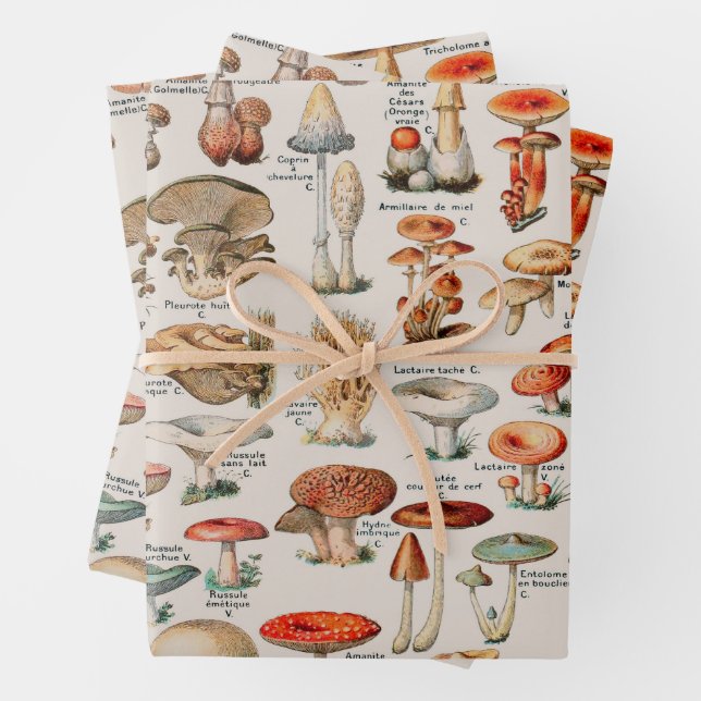 Vintage Pilzfungus-Illustration I Geschenkpapier Set (Beispiel)