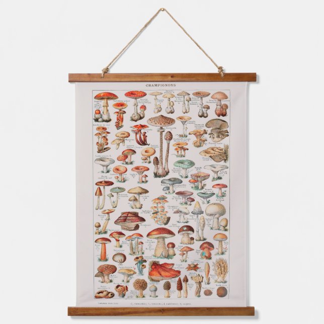 Vintage Pilzfungus-Illustration I Wandteppich Mit Holzrahmen (Vorderseite)