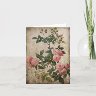 Vintage Pink Roses Note Card. Karte