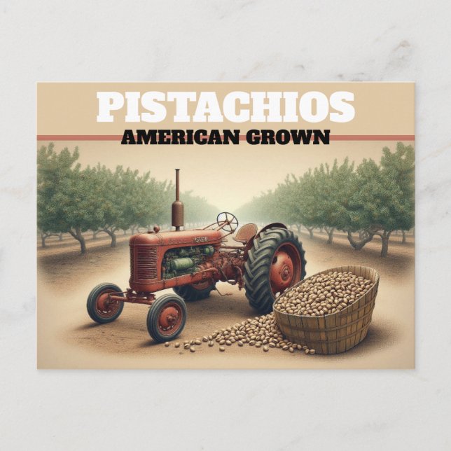 Vintage Pistachio Landwirtschaft Postkarte (Vorderseite)