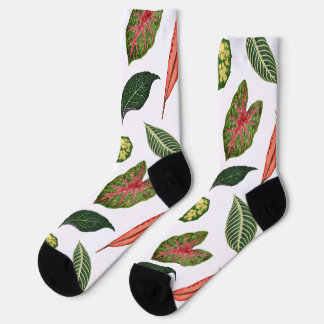 Vintage Plant Leaf Novelty Socks - White Socken