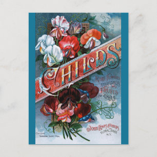 Vintage Platterbsen Postkarte