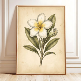 Vintage-Plumerien-Blumen-Wandkunst Poster