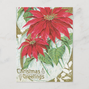 Vintage Poinsettia-Illustration Postkarte