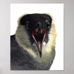 Vintage-Pomarin-Skua-Plakatdruck Poster