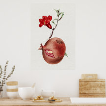 Vintage pomegranate