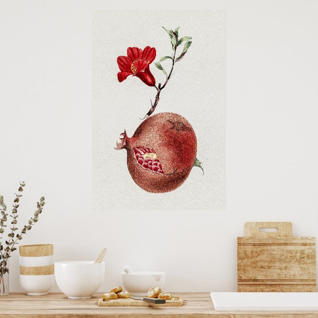 Vintage pomegranate poster (Küche)