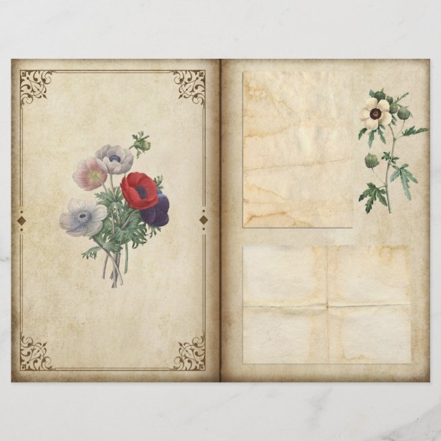 Vintage Poppies Viktorianische Botanische Zeitschr (Vorderseite)