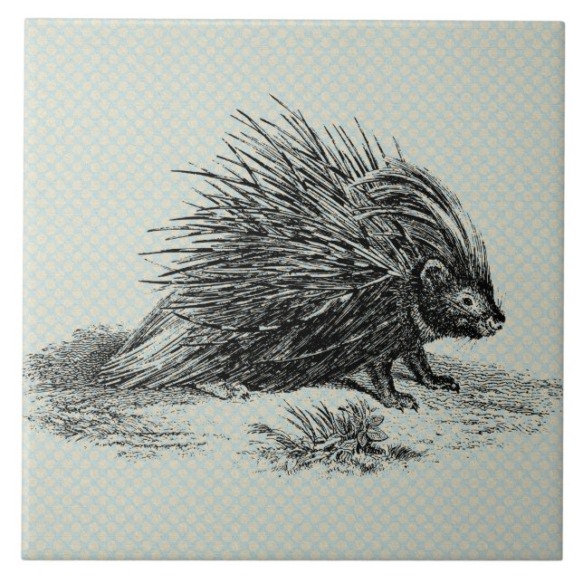 Vintage Porcupine-Illustration Fliese (Vorderseite)