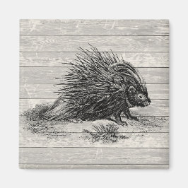 Vintage Porcupine-Illustration Magnet