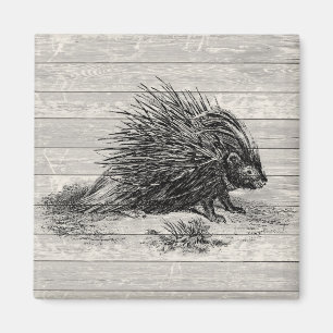 Vintage Porcupine-Illustration Magnet