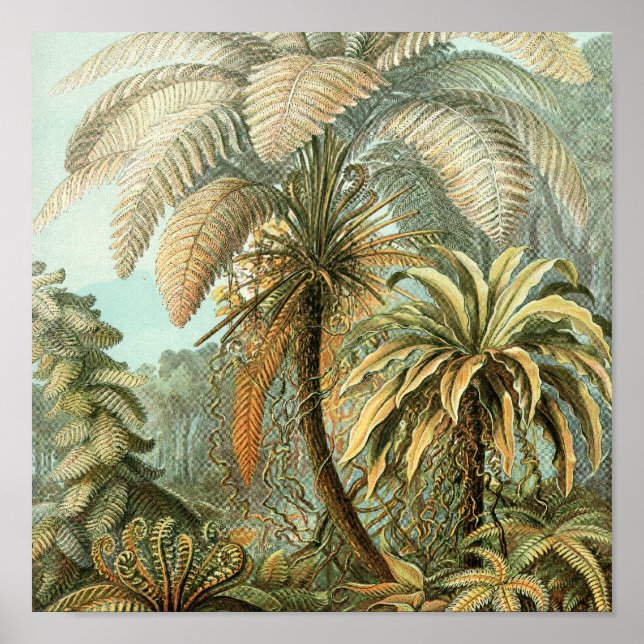 Vintage Poster (Vorne)