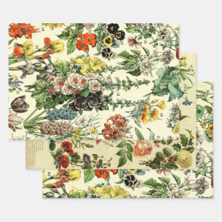 Vintage Poster Hollyhock Fleurs Geschenkpapier Set