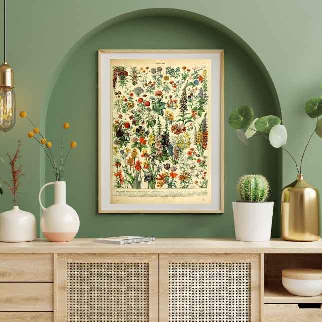 Vintage Poster Wilde Blume Buchseite (Von Creator hochgeladen)