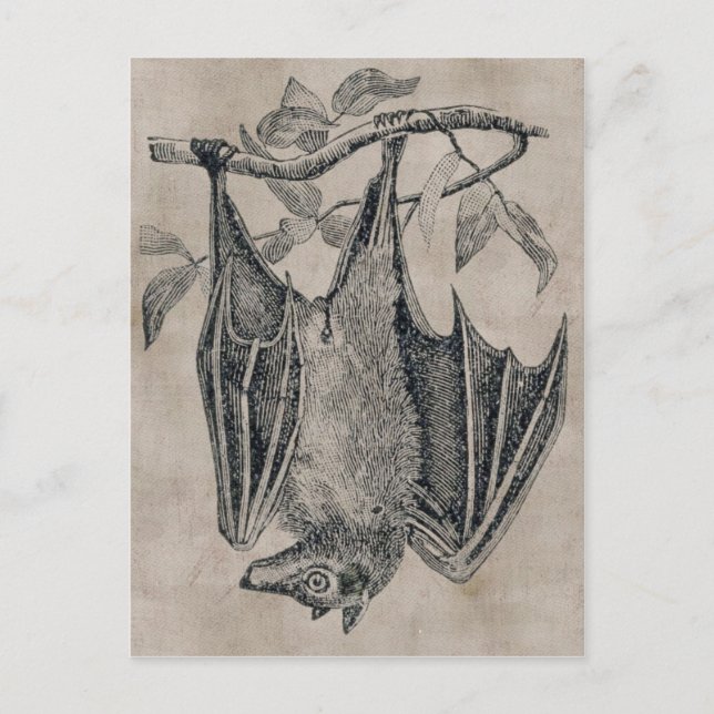 Vintage Postkarte (Vorderseite)