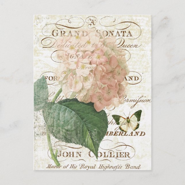 Vintage Postkarte des botanischen Hydrangeas (Vorderseite)