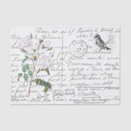Vintage Postkarte für den White Rose Bird Seidenpapier