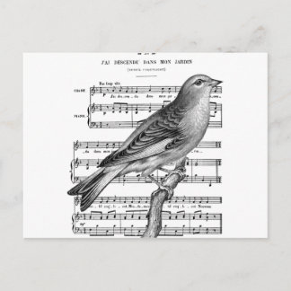Vintage Postkarte für die französische Band Bird S