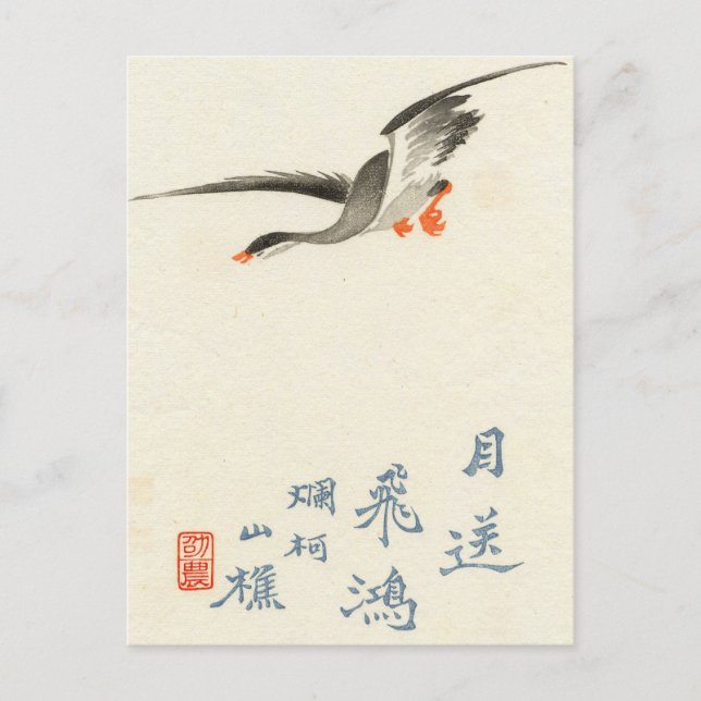 Vintage Postkarte für japanische Enten (Vorderseite)