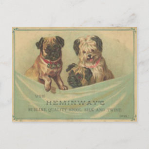 Vintage Postkarte mit Niedlichen Schrotthunden